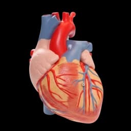 Heart Risk